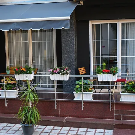 Kuta's 2 Tirana